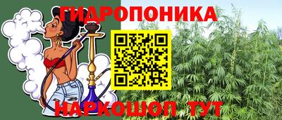 a pvp Шахты