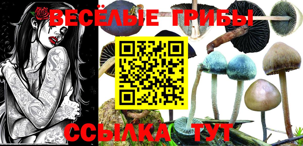 Купить  Вятские Поляны  МЕТАДОН  Бошки Шишки  Cocaine  Гашиш  Мефедрон   Вход с VPN  MDMA  МЕФ 