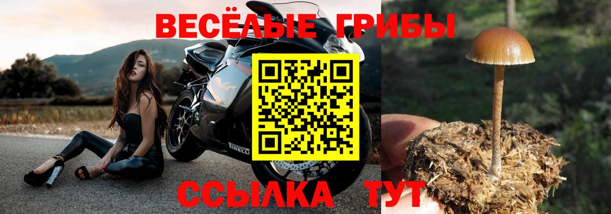 Вятские Поляны  Галлюциногенные грибы ЛСД  Галлюциногенные грибы GOLDEN TEACHER  Вход с VPN 